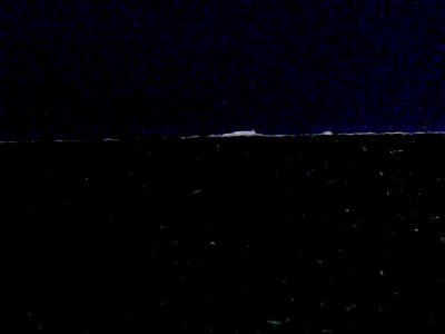 SN37339
