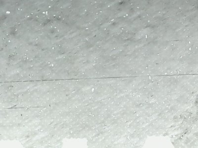 SN37342
