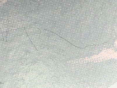 SN37355