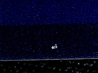 SN37358