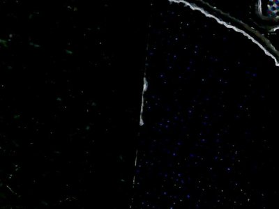 SN37379