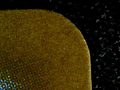 SN37429