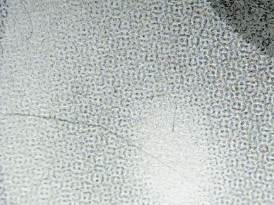 SN37444