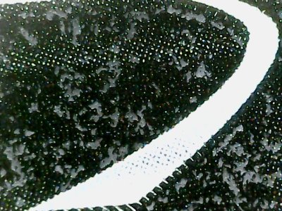 SN37446
