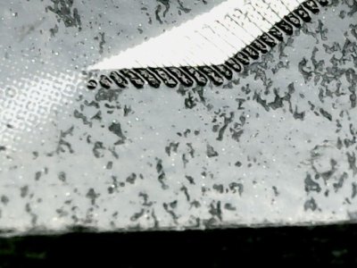 SN37447