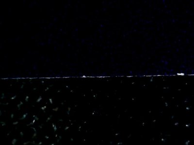 SN37452