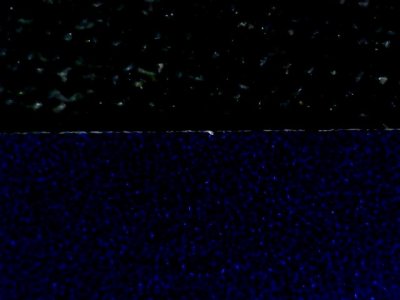 SN37452