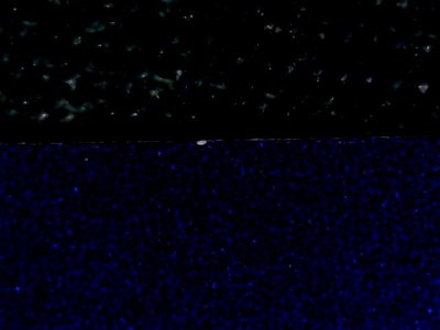 SN37452