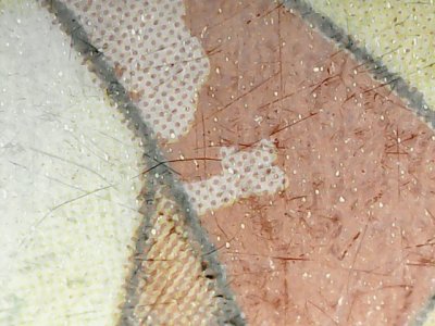 SN37458