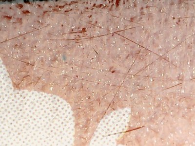 SN37458