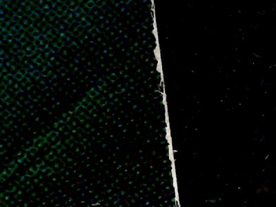 SN37477