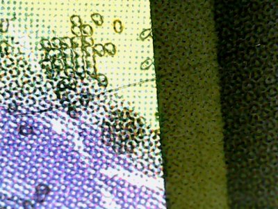 SN37604