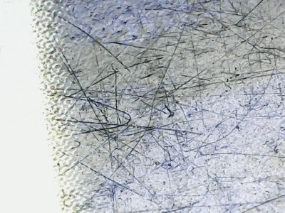 SN37604