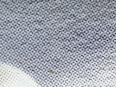 SN37609