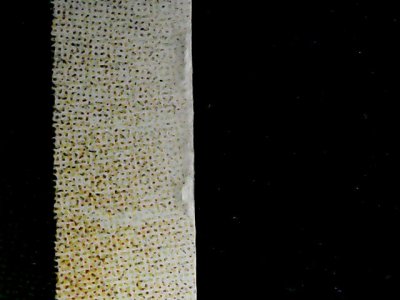 SN37609
