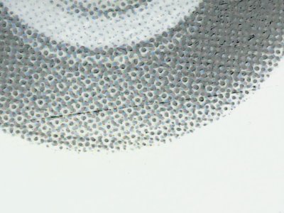 SN37610