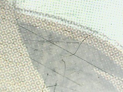 SN37612