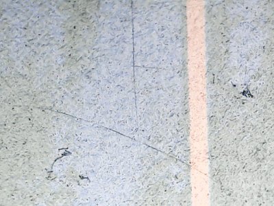 SN37612