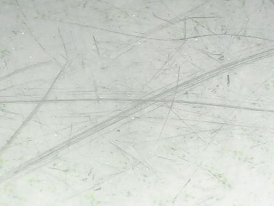 SN37613