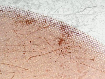 SN37613