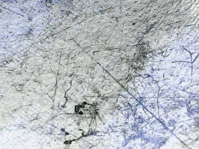 SN37615