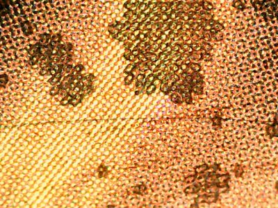 SN37615