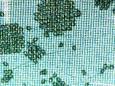 SN37616