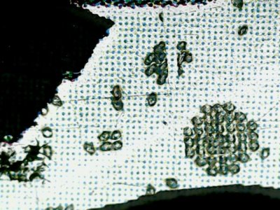 SN37616