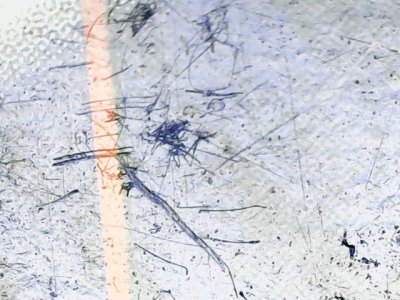 SN37616