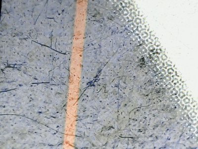 SN37617