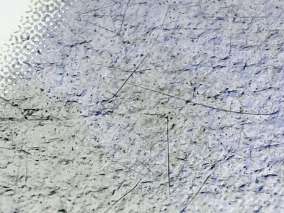 SN37617