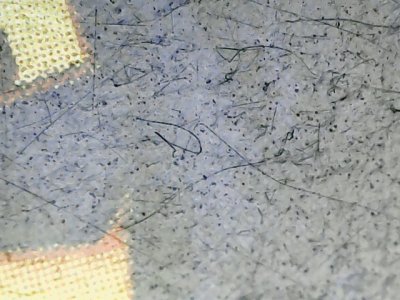 SN37617
