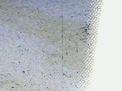 SN37618