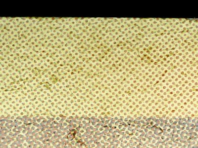 SN37619