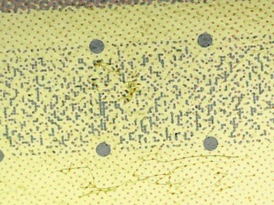 SN37619