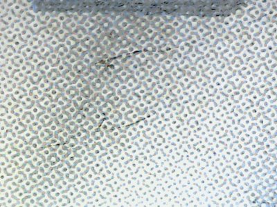 SN37619