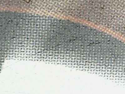 SN37620