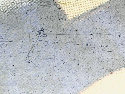SN37621