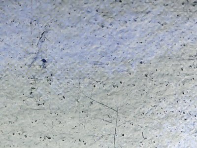SN37621