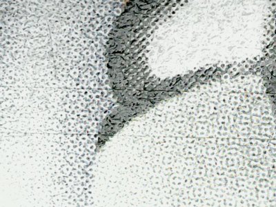 SN37624