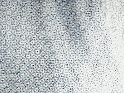 SN37624