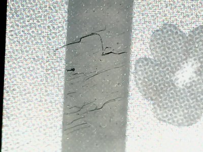 SN37660