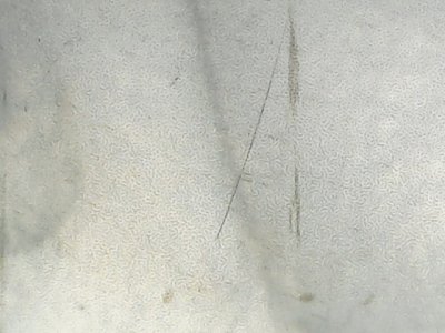 SN37661