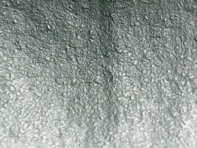SN37648