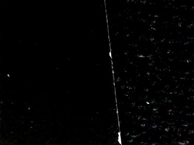 SN37648