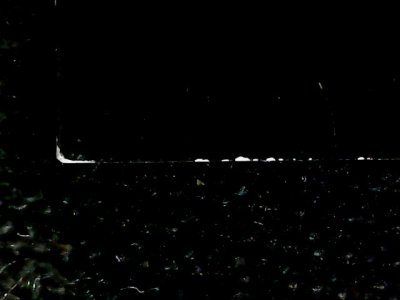 SN37648