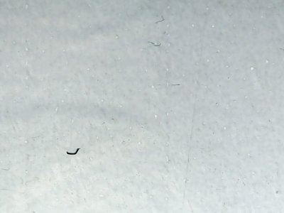 SN37649