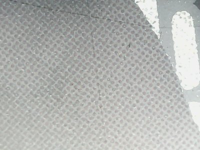 SN37650