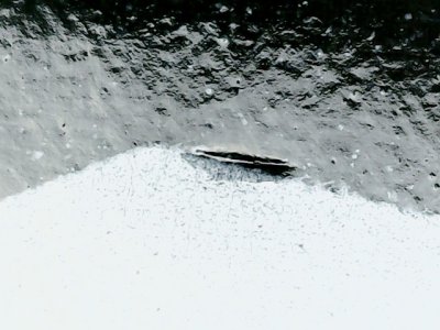 SN37653