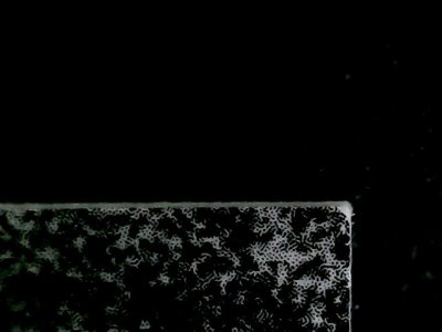 SN37653